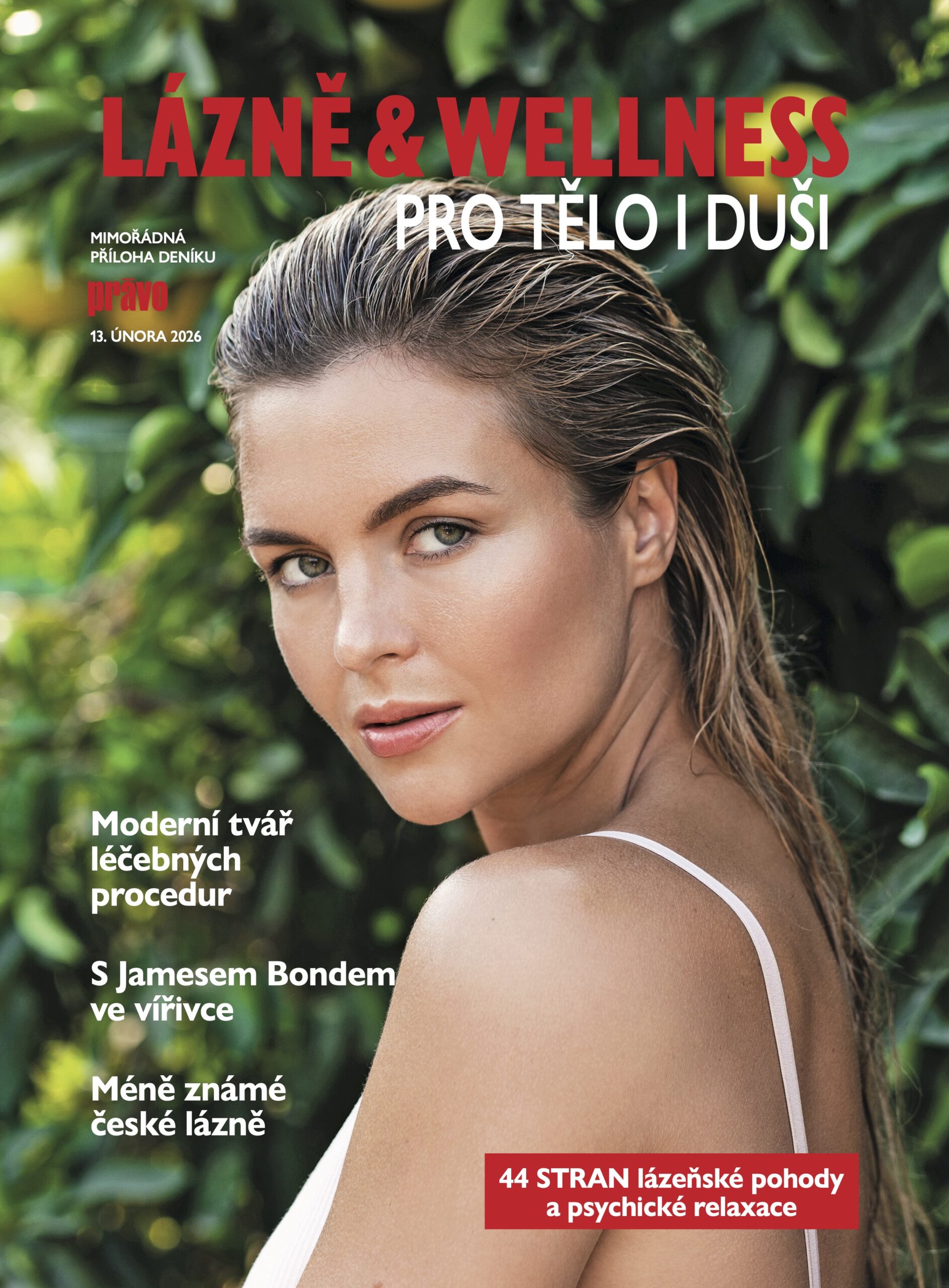 Speciální příloha Lázně & Wellness